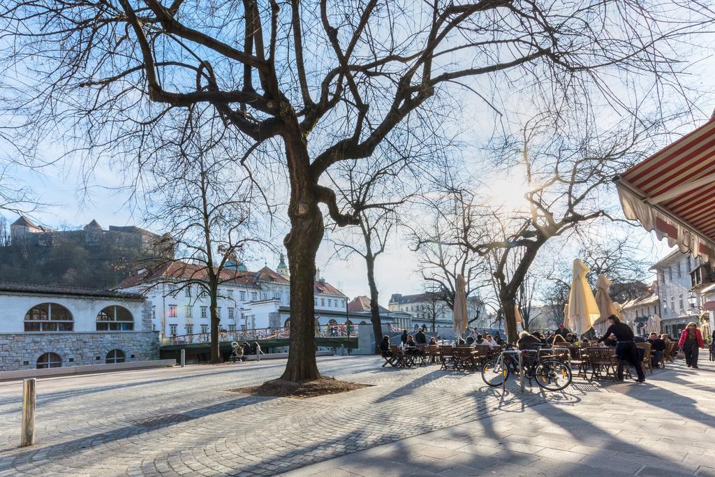 Old Town Apartments Lublana Pokój zdjęcie